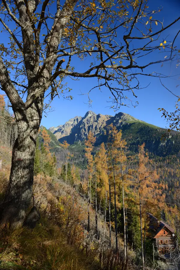 High Tatras
