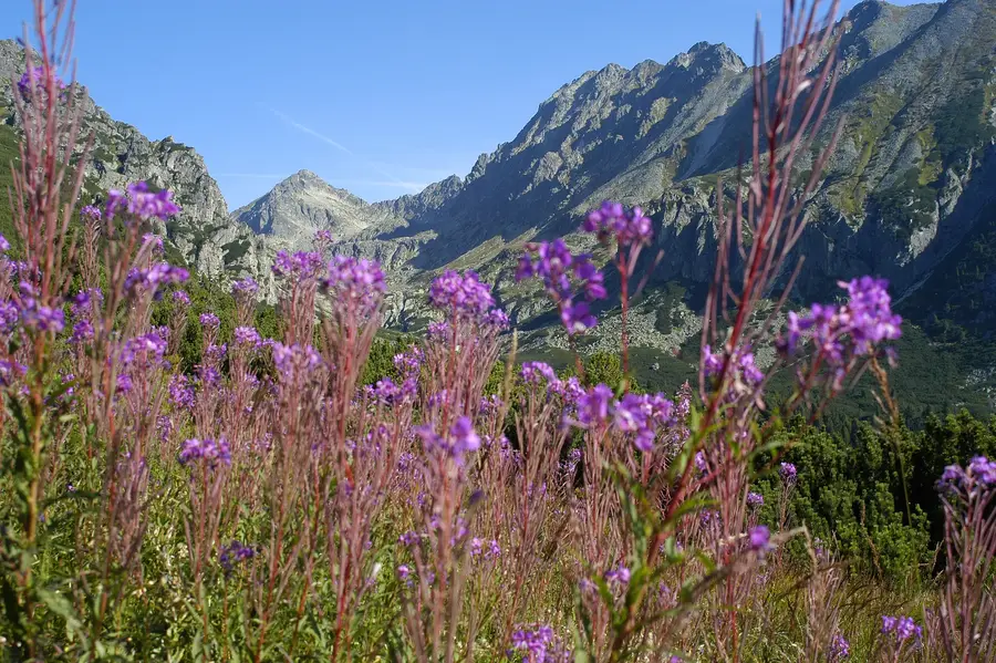 High Tatras