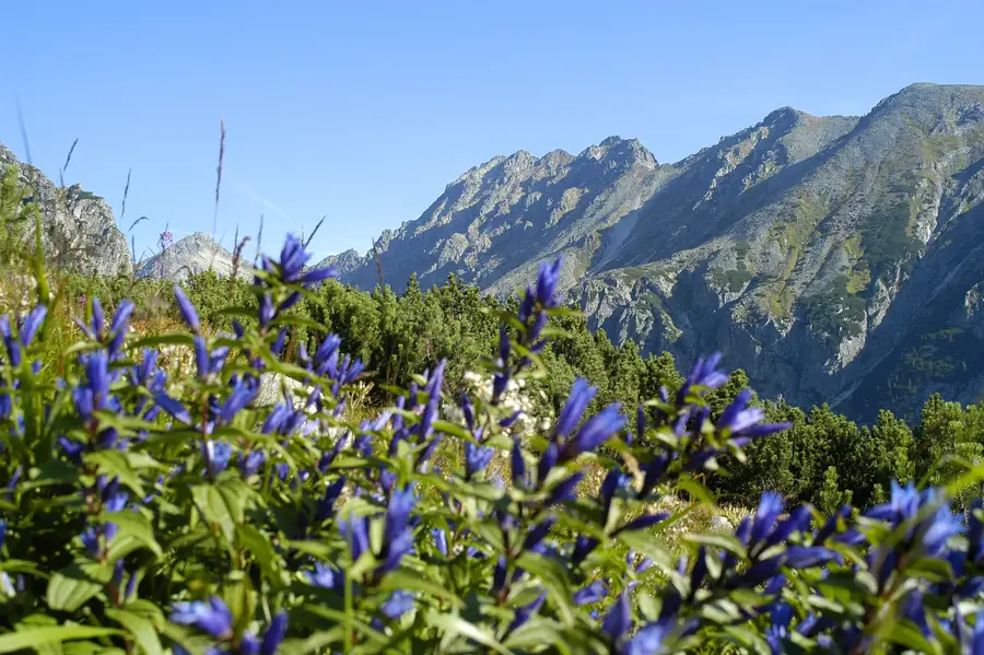 High Tatras