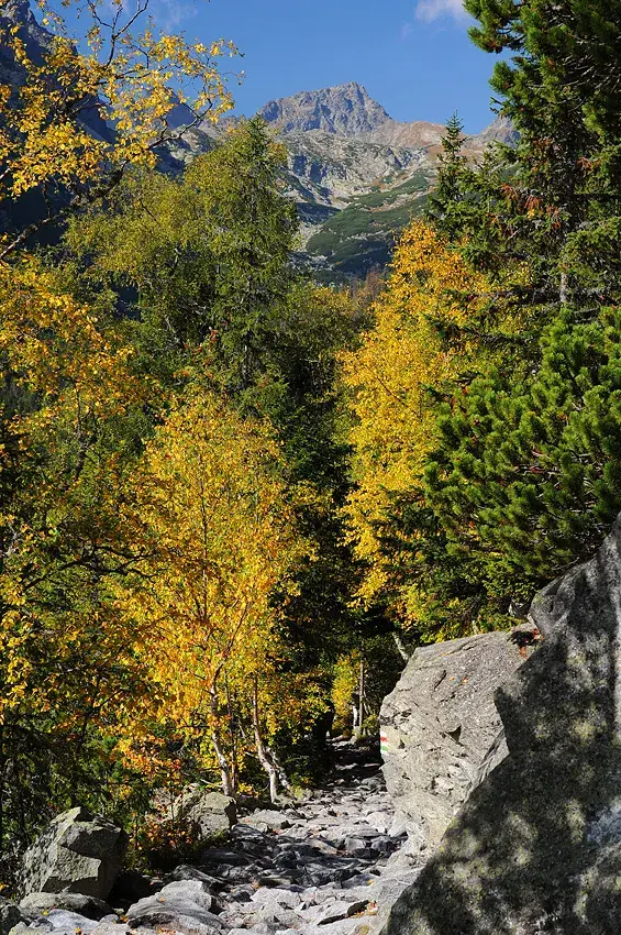 High Tatras